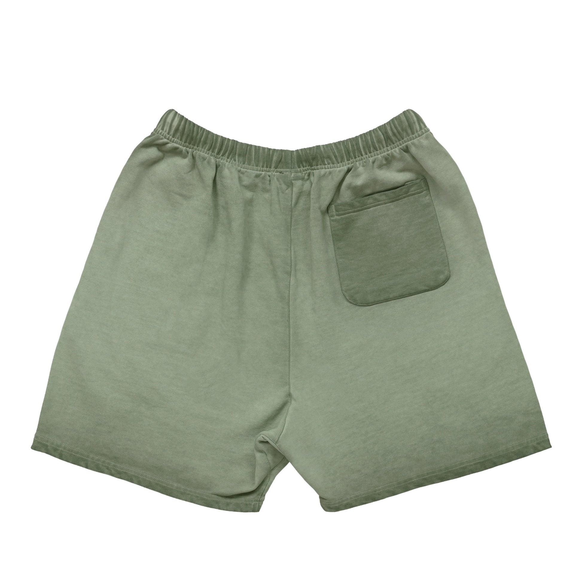 BNC MONOGRAM / PRINT SET-UP SWEAT SHORT green-gray image